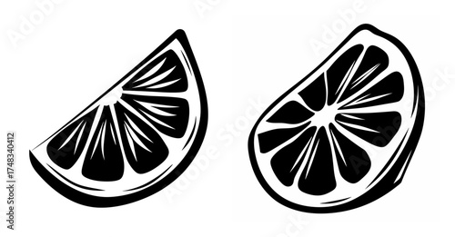 Fresh citrus slices hand drawn graphic elements for vibrant summer food designs and refreshing beverage art