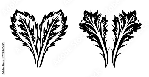 Two stylized black and white lettuce leaf designs showing detailed veins and serrated edges
