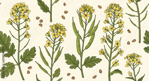 A charming botanical illustration of mustard plants with delicate yellow flowers and green leaves.