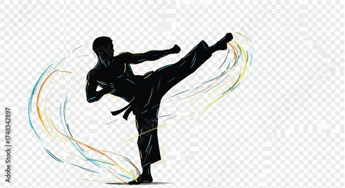 Dynamic silhouette of a martial artist performing a powerful, high kick with colorful energy trails