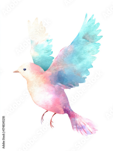 dove and peace