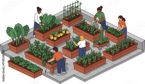 Urban Rooftop Gardening Community Cultivating Fresh Produce