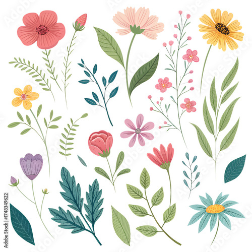 Individual watercolor flowers set – isolated botanical PNG clipart