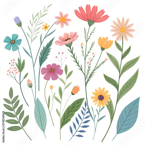 Individual watercolor flowers set – isolated botanical PNG clipart
