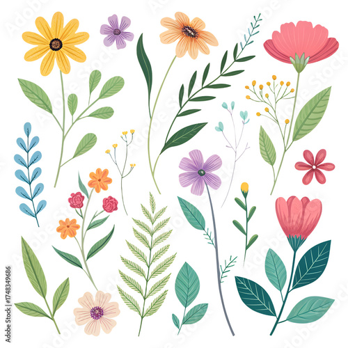 Watercolor wildflower collection – separate floral PNG illustrations