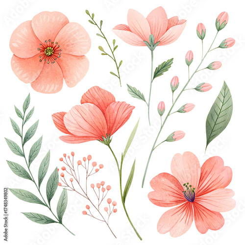Individual watercolor flowers set – isolated botanical PNG clipart