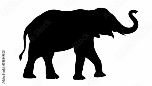 Silhouette of an elephant standing with its trunk curled upwards against a white background showing detail 1
