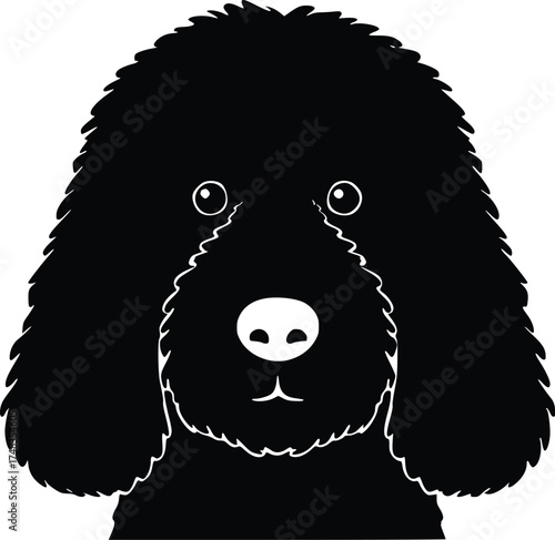Spanish Water Dog head silhouette with curly coat, floppy ears, and focused gaze in black vector