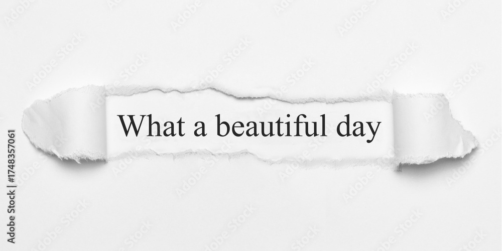 Fototapeta premium What a beautiful day 