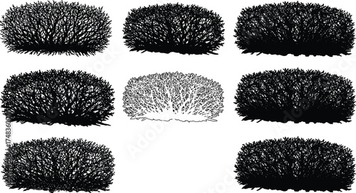  Bush hedge silhouettes collection, garden shrub vector illustration, trimmed foliage shapes set for landscape design, greenery elements, natural decoration, eco landscaping art