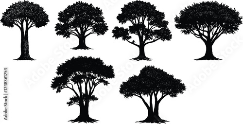  Tree silhouette vector collection, detailed natural forest illustration, isolated black tree shapes for landscape design, nature artwork, park and garden decoration elements