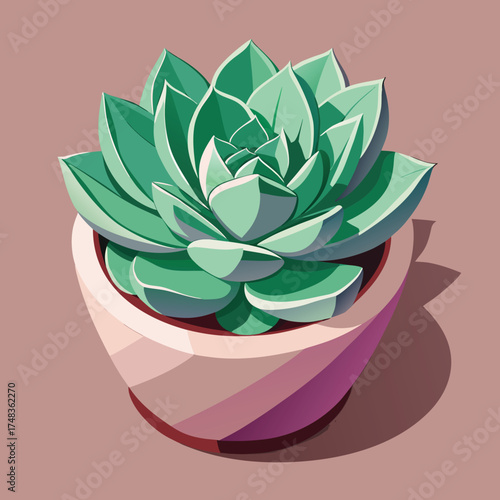Realistic illustration of a succulent plant with detailed leaves and natural textures