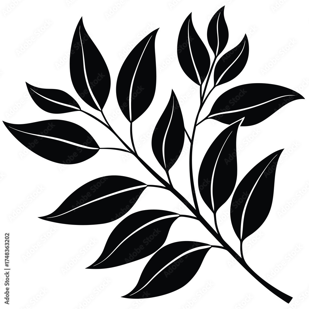 Fototapeta premium Elegant eucalyptus branch with delicate leaves vector illustration for nature and botanical designs