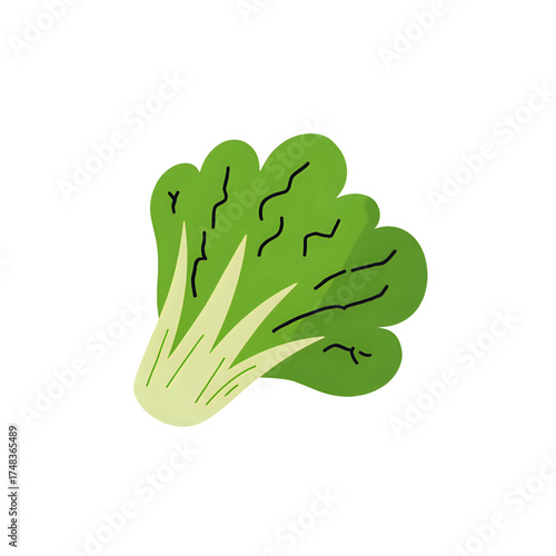 Hand-drawn illustration of fresh bok choy, a healthy garden vegetable isolated on a white background. Perfect for organic food and diet concepts