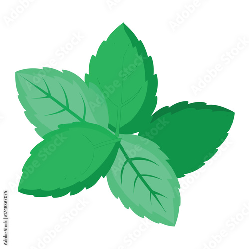 Fresh flat design illustration of vibrant green mint leaves perfect for culinary and wellness themes