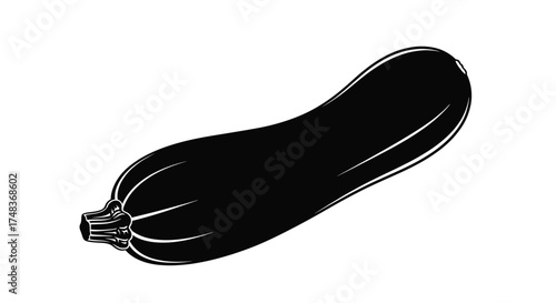 Black and White Zucchini Vector Illustration: Fresh, Organic Produce for Healthy Eating and Cooking - Stock Image, Food Ingredient Design