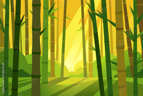 Bamboo forest with sunlight shining through the trees