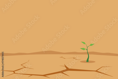 Small plant growing in dry cracked earth landscape