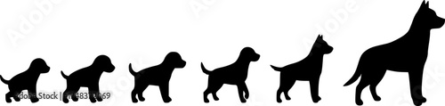 Silhouettes of growing dog outlines illustrating the stages of canine development and growth
