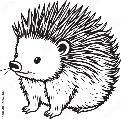 Hedgehog or Porcupine Hand-drawn Sketch Drawing Vector Illustration, Line Linear Symbol Engraving Coloring Book, Black and White Isolated