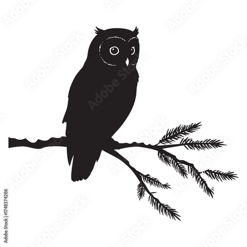Owl Perched on a Pine Tree Branch Silhouette Vector