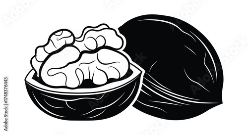 Black and White Walnut Illustration: Open and Closed, Isolated on White - Perfect for Food Blogs and Recipe Illustrations, Nut Design, and Healthy Eating.