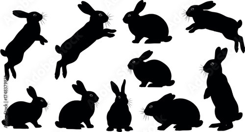 Collection of Black Rabbit Silhouettes bunny animal