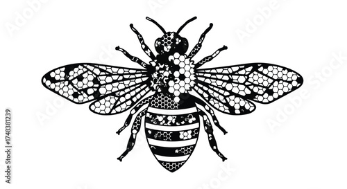Intricate black lace illustration of a bee with detailed wings and body patterns