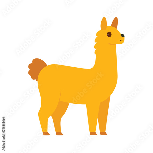 Alpaca on White Background