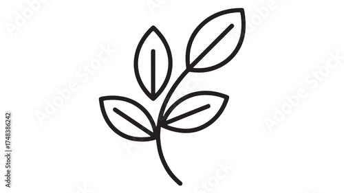 Minimalist line drawing of a delicate plant stem with three leaves, symbolizing growth and nature.