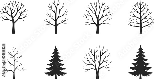 Black and white tree silhouette collection, pine and leafless trees vector set, natural forest illustration for eco and botanical design