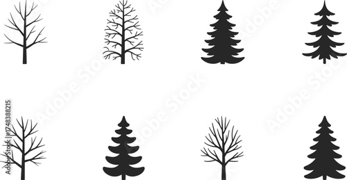 Black and white tree silhouette collection, pine and leafless trees vector set, natural forest illustration for eco and botanical design
