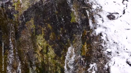 Wallpaper Mural mountain stream flowing gently through a winter forest in Tatra National Park, Zakopane, Poland. slow motion Torontodigital.ca