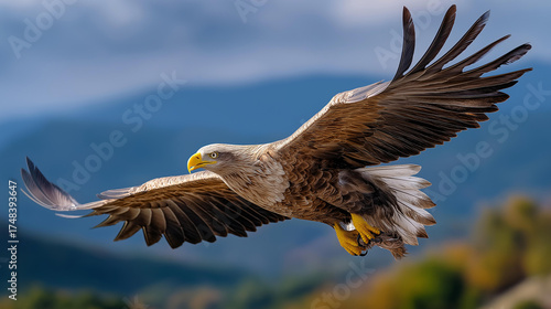 A large eagle struggles to soar into the sky with prey clutched in its talons, powerful wings beating heavily against the wind, feathers detailed — blured background, with copy spa