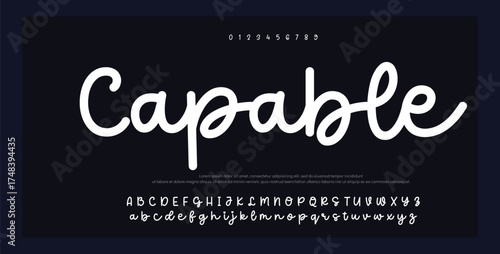 Signature Font Calligraphy Logotype Script Brush Font Type Font lettering handwritten