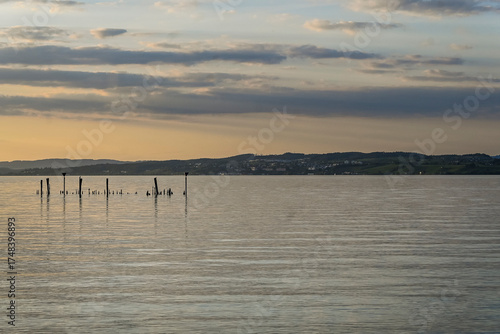 Güttingen, Bodensee, Seeufer, Seerundfahrt, Hafen, Schiffe, Boote, Bootssteg, Schilf, Wasservögel, Naturschutz, Uferweg, Wanderweg, Sommer, Ostschweiz, Abendstimmung, Thurgau, Meersburg, Schweiz