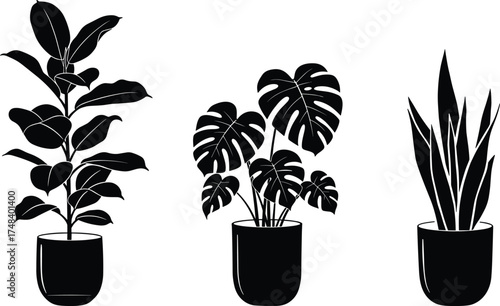 Silhouette potted plants vector, Monstera, snake plant, indoor foliage, black botanical icons, minimalist houseplants, decorative leaf shapes, home decor