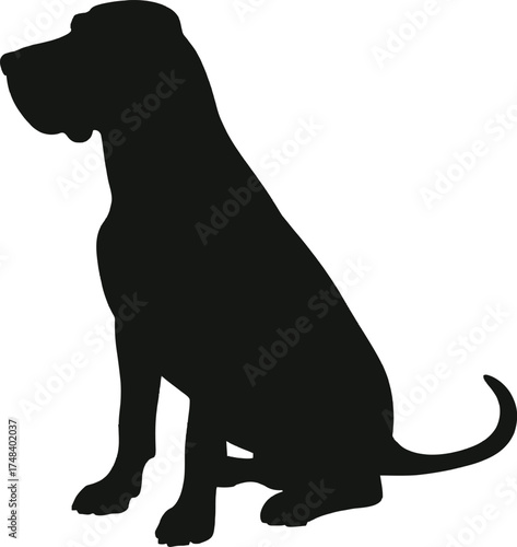 Elegant great dane dog silhouette design element on transparent background