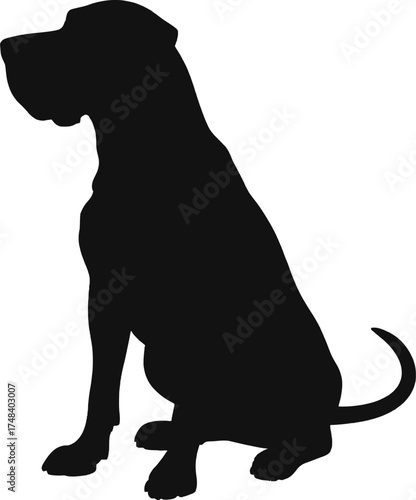 Elegant great dane dog silhouette design element on transparent background