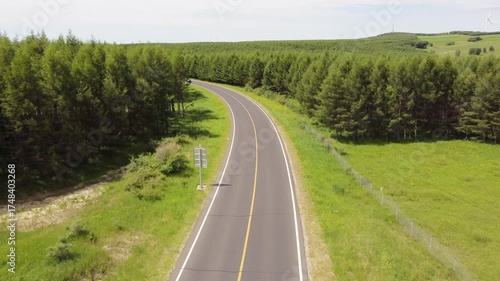 Aerial shot lone car driving on a winding asphalt road through lush green forest