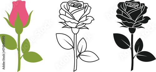 Three rose illustrations in color outline and silhouette variations