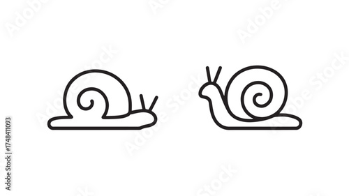 Two minimalist snails in outline, symbolizing slow progress and individual journeys.