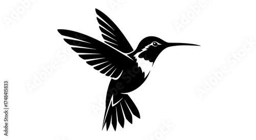 Silhouette of a hummingbird in flight with wings spread wide showcasing its delicate form and swift movement against a white background