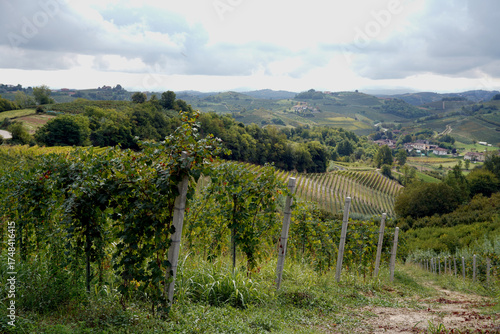 winery in the hills near Marmorito in Piemont