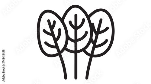 Simple line art illustration of fresh green spinach leaves