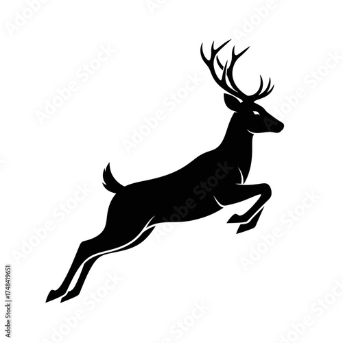 silhouette of a deer