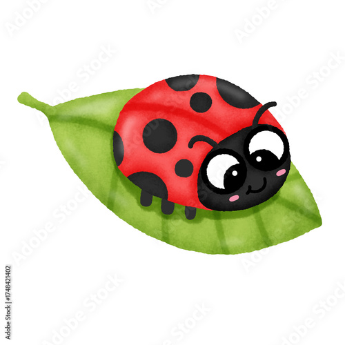 A ladybug is sitting on a leaf