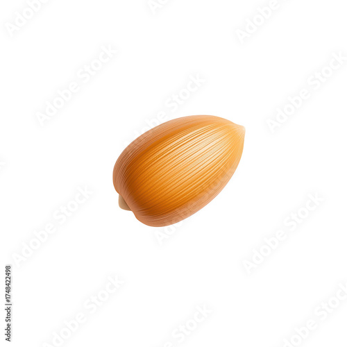 Close-up of a Smooth, Light Brown Shell Isolated on White Background