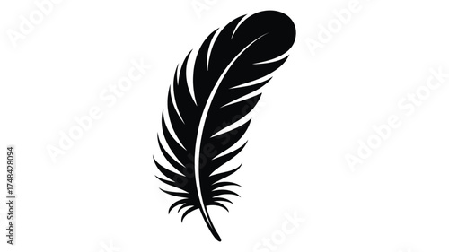 Simple black silhouette of a single feather on a white background