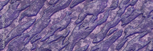 Skin zebra- metal abandoned. Decor african- 3d illustration